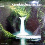 KASKADE / WHAT I SAY