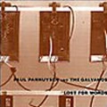 PAUL PANHUYSEN / ポール・パンハウゼン / LOST FOR WORDS