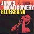 JAMES MONTGOMERY BLUES BAND / BRING IT ON HOME