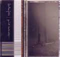 BENTON FALLS / ベントン・フォールズ / GUILT BEATS HATE