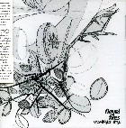 OPSVIK & JENNINGS / FLOYEL FILES