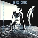 ASSOCIATES / アソシエイツ / AFFECTIONATE PUNCH