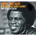 JAMES BROWN / ジェームス・ブラウン / AND I DO JUST WHAT I WANT