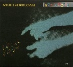 MICHEL PETRUCCIANI / ミシェル・ペトルチアーニ / NOTE'N NOTES