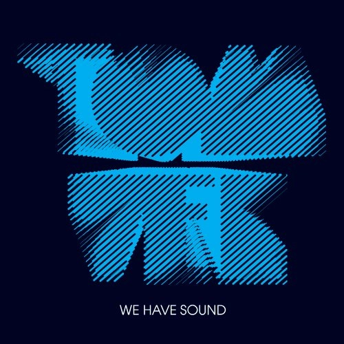 TOM VEK / トム・ヴェック / WE HAVE SOUND