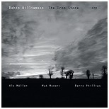 ROBIN WILLIAMSON / ロビン・ウィリアムソン / IRON STONE