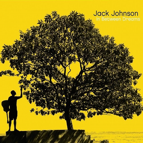 JACK JOHNSON / ジャック・ジョンソン / IN BETWEEN DREAMS