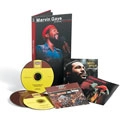 MARVIN GAYE / マーヴィン・ゲイ / CHRONICLES