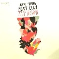 NEW YOUNG PONY CLUB / ニュー・ヤング・ポニー・クラブ / BOMB