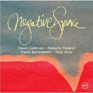 DAVE LIEBMAN (DAVID LIEBMAN) / デイヴ・リーブマン / NEGATIVE SPACE