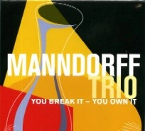 ANDY MANNDORFF / アンディ・マンドルフ / YOU BREAK IT-YOU OWN IT