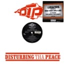 LUDACRIS / リュダクリス / WHAT THEM GIRLS LIKE