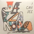 JAZZANOVA / ジャザノヴァ / I CAN SEE