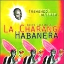 DAVID CALZADO Y SU CHARANGA HABANERA / ダビー・カルサード・イ・ス・チャランガ・アバネーラ / TREMENDO DELIRIO