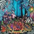 MAGIC MUSHROOM BAND / マジック・マッシュルーム・バンド / RE-HASH