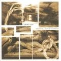 MERZBOW : GENESIS P-ORRIDGE / メルツバウ/ジェネシス・ピー・オリッジ / A PERFECT PAIN