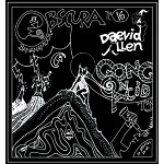 DAEVID ALLEN/GINA LAKOSTA / GONG ON ACID
