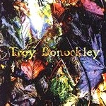 TROY DONOCKLEY / トロイ・ドノックリー / THE UNSEEN STREAM