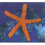 FISH (PROG) / フィッシュ / 13TH STAR