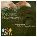 BRAND NEW HEAVIES / ブラン・ニュー・ヘヴィーズ / ELEPHANTITIS: THE FUNK AND HOUSE REMIXES