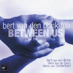 BERT VAN DEN BRINK / ベルト・ファン・デン・ブリンク / BETWEEN US LIVE AT THE BIMHUIS