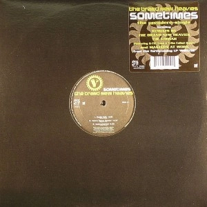 BRAND NEW HEAVIES / ブラン・ニュー・ヘヴィーズ / SOMETIMES