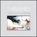 THRUSHES / スラッシズ / SUN COME UNDONE