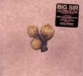 BIG SIR / ビッグシーア / UND DIE SCHEIBE ANDERT