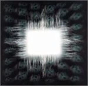 TOOL / トゥール / AENIMA