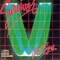 SURVIVOR / サバイバー / VITAL SIGNS
