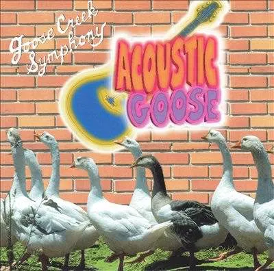 GOOSE CREEK SYMPHONY / ACOUSTIC GOOSE