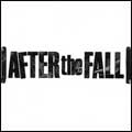 AFTER THE FALL (PUNK) / アフターザフォール / EVERYTHING
