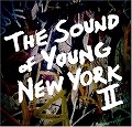 V.A. / オムニバス / SOUND OF YOUNG NEW YORK 2