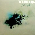 KASKADE / IN THIS LIFE