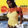 V.A. / DANCEHALL NICE AGAIN 2005
