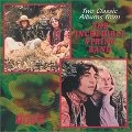 INCREDIBLE STRING BAND / インクレディブル・ストリング・バンド / WEE TAM/THE BIG HUGE