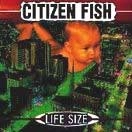 CITIZEN FISH / シチズンフィッシュ / LIFE SIZE