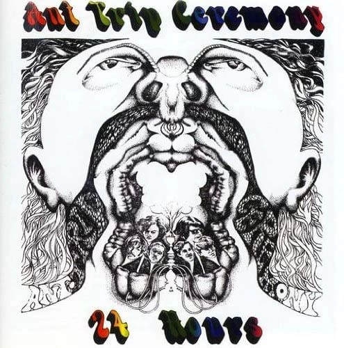 ANT TRIP CEREMONY / 24 HOURS (CD)
