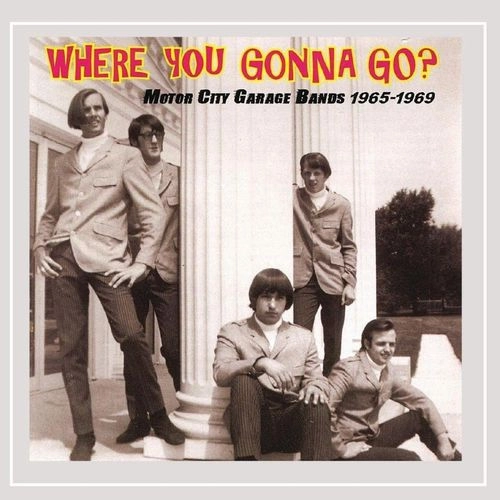 V.A. (GARAGE) / WHERE YOU GONNA GO? : MOTOR CITY GARAGE BANDS 1965-1969 (CD)