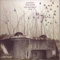 RAISING THE FAWN / レイジング・ザ・ファウン / MAGINOT LINE
