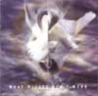 WHAT WISHES CAN'T MEND / ホワットウッシィズキャントメンド / INSOMNIAC DIARIES