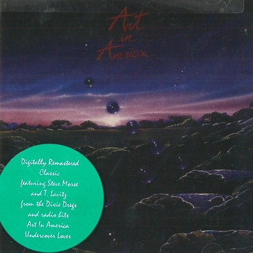 ART IN AMERICA / アート・イン・アメリカ / ART IN AMERICA