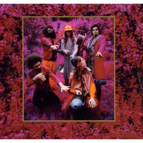 CAPTAIN BEEFHEART & MAGIC BAND / GROW FINS: RARITIES [1965-82] (5CD BOX)