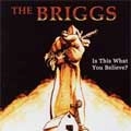 BRIGGS / ブリッグス / IS THIS WHAT YOU BELIEVE?