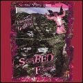 ARIEL PINK'S HAUNTED GRAFFITI / アリエル・ピンクス・ホーンテッド・グラフィティ / SCARED FAMOUS