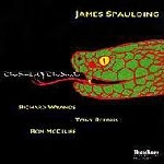 JAMES SPAULDING / ジェームズ・スポルディング / SMILE OF THE SNAKE