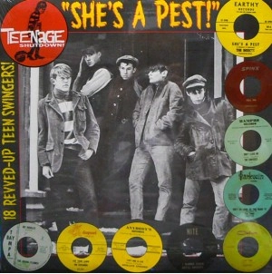 V.A. (TEENAGE SHUTDOWN) / 15. SHE'S A PEST!
