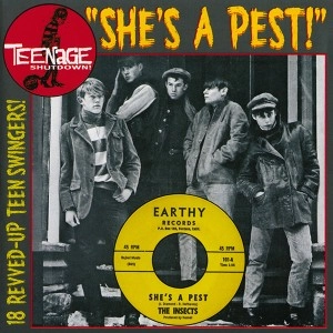 V.A. (TEENAGE SHUTDOWN) / 15. SHE'S A PEST! (CD)