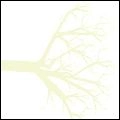 FOXHOLE / WE THE WINTERING TREE