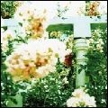UNWED SAILOR / LITTLE WARS